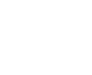 Evolution games at Mintbingo Casino